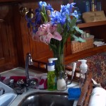 My mom sent Natalie pretty flowers for her first Mother's Day My mom sent Natalie pretty flowers for her first Mother's Day