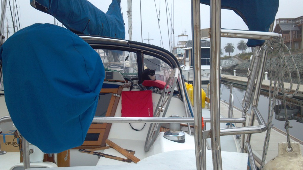 The cat perched up on Chuck and Jan's boat