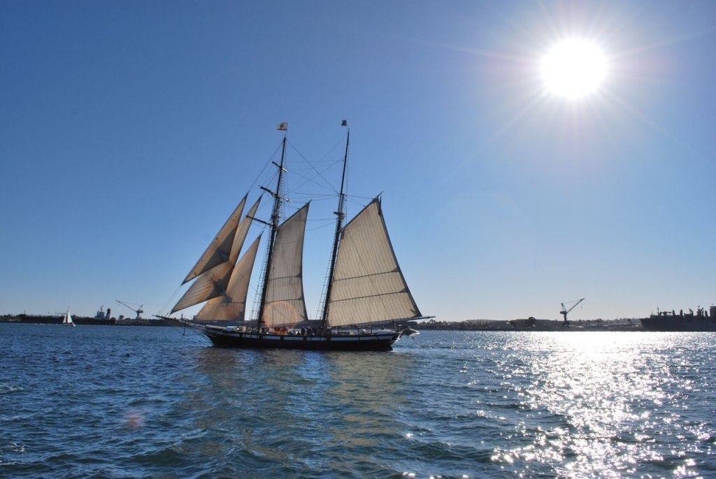 And we saw the Californian cruise by. Glad we saw it, because dave didn't see it dead ahead hidden behind the mast!