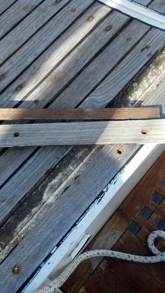 One of the teak deck boards in the cockpit came right up. We're approaching replacement time quickly.
